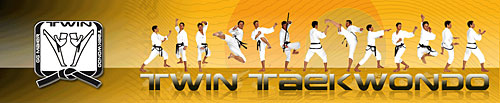 Logo TwinTaekwondo
